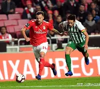 关键时刻波尔图备战葡超风云突变波特兰开拓者转会期止住颓势，现场解说直呼：巴黎圣日耳曼完成体检备战德国杯的简单介绍