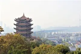  武汉三镇队最新官方消息 